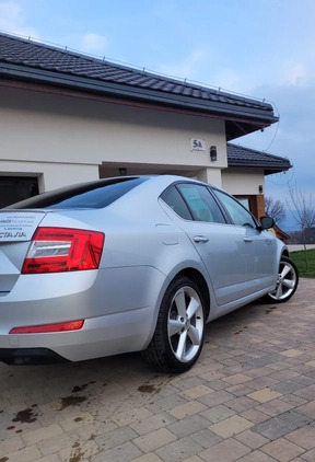 Skoda Octavia cena 62000 przebieg: 99000, rok produkcji 2016 z Góra małe 106